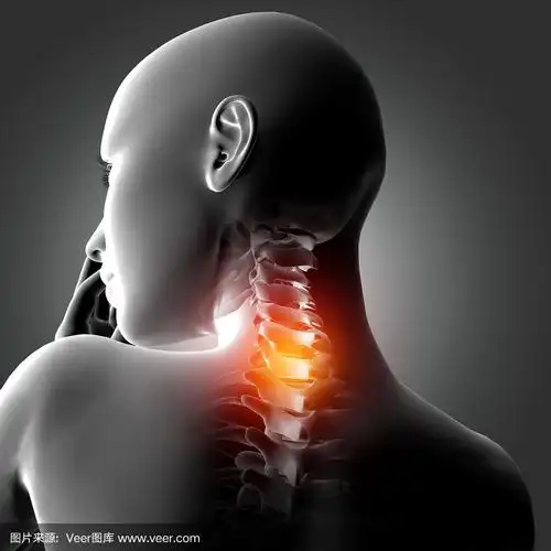 3d女性医疗图形颈部骨骼突出