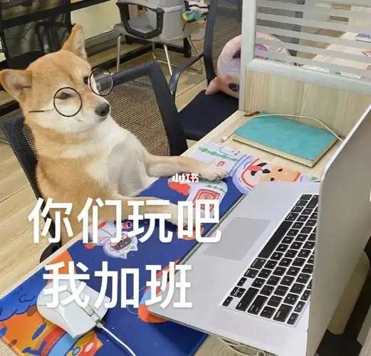 资深苦逼加班狗