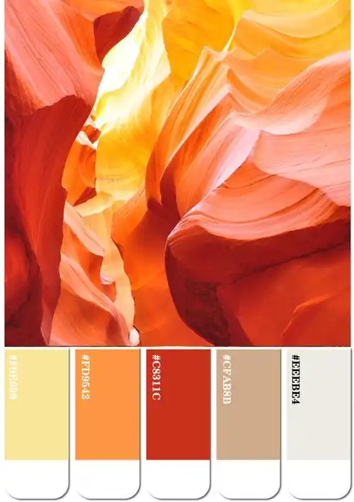 配色推荐最温暖的时尚色彩使用橙色的首选方法