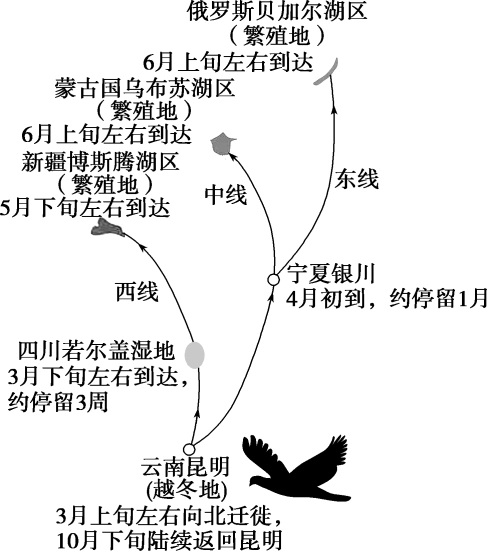 【推荐】2020版高考地理一轮复习 第11章 地理信息