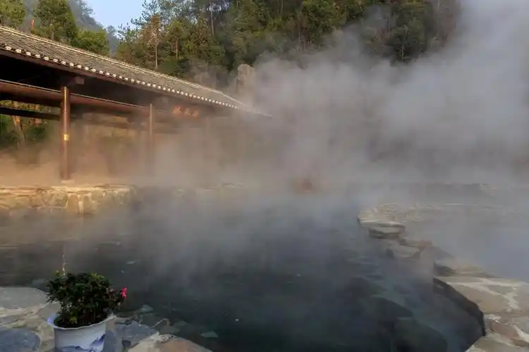 汤里森林温泉度假区