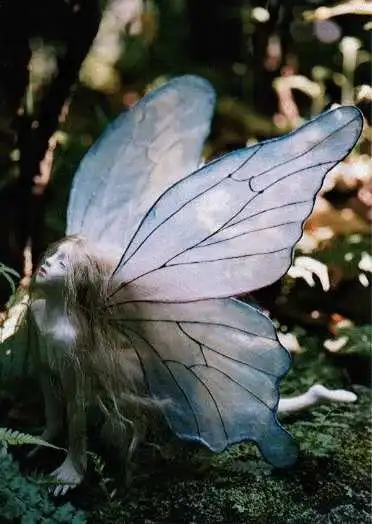 找一些诡异的图片