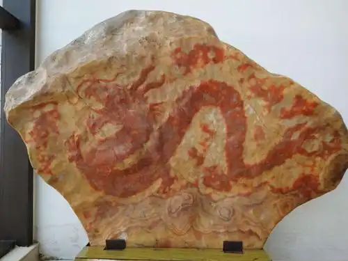 自然天成的中国龙化石