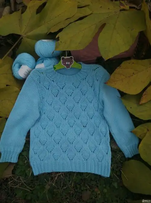 编织教程 魔方 萌芽棒针志田花型男童套头毛衣 花样图解: 编织记录: 1