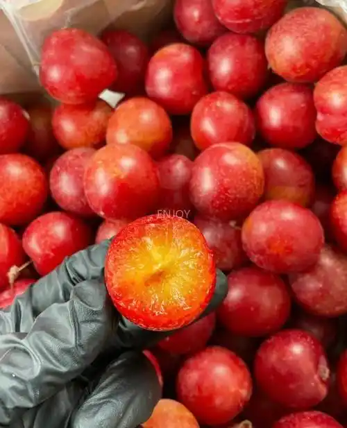 智利樱桃李699元享25斤装融合樱桃的甜和李子的香味道高级甜度20巨
