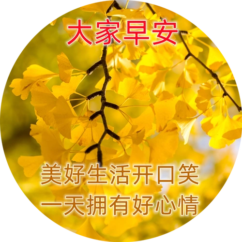 最美早上好问候语图片 朋友圈新版早晨好图片 早上好最新漂亮图片