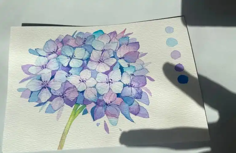 绣球花水彩作品