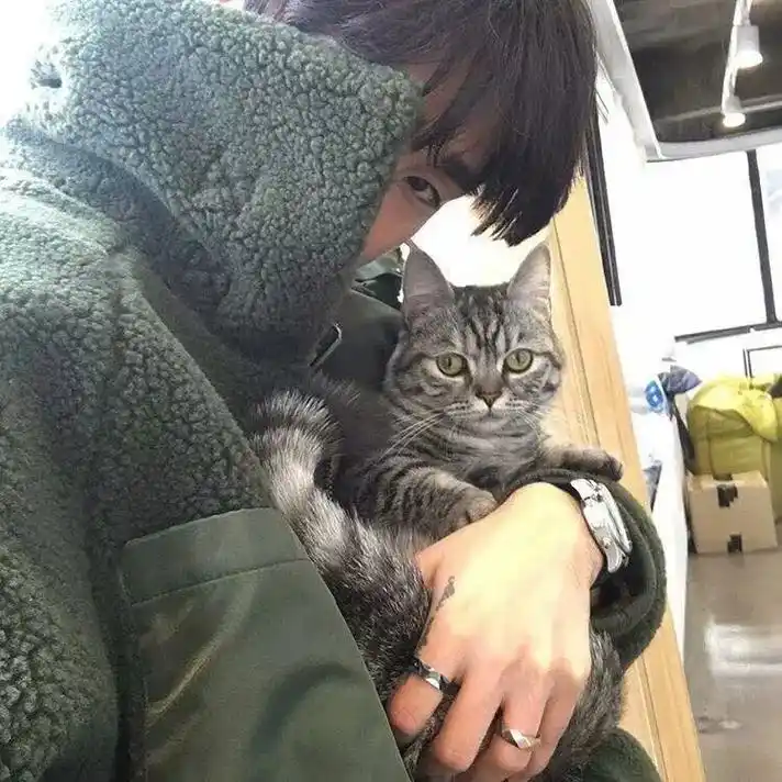 抱猫男头像.#猫头像 #抱猫头像 #男生头像 #抱猫男生头像 - 抖音