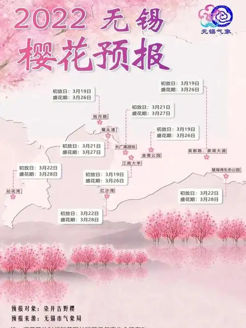 樱花预报75鼋头渚染井吉野樱盛开日期明细75