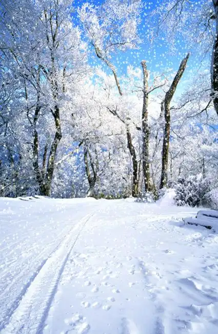 影楼盘子女人坊古装拍照背景纸影棚古装主题帆摄影背景布紫萱雪景