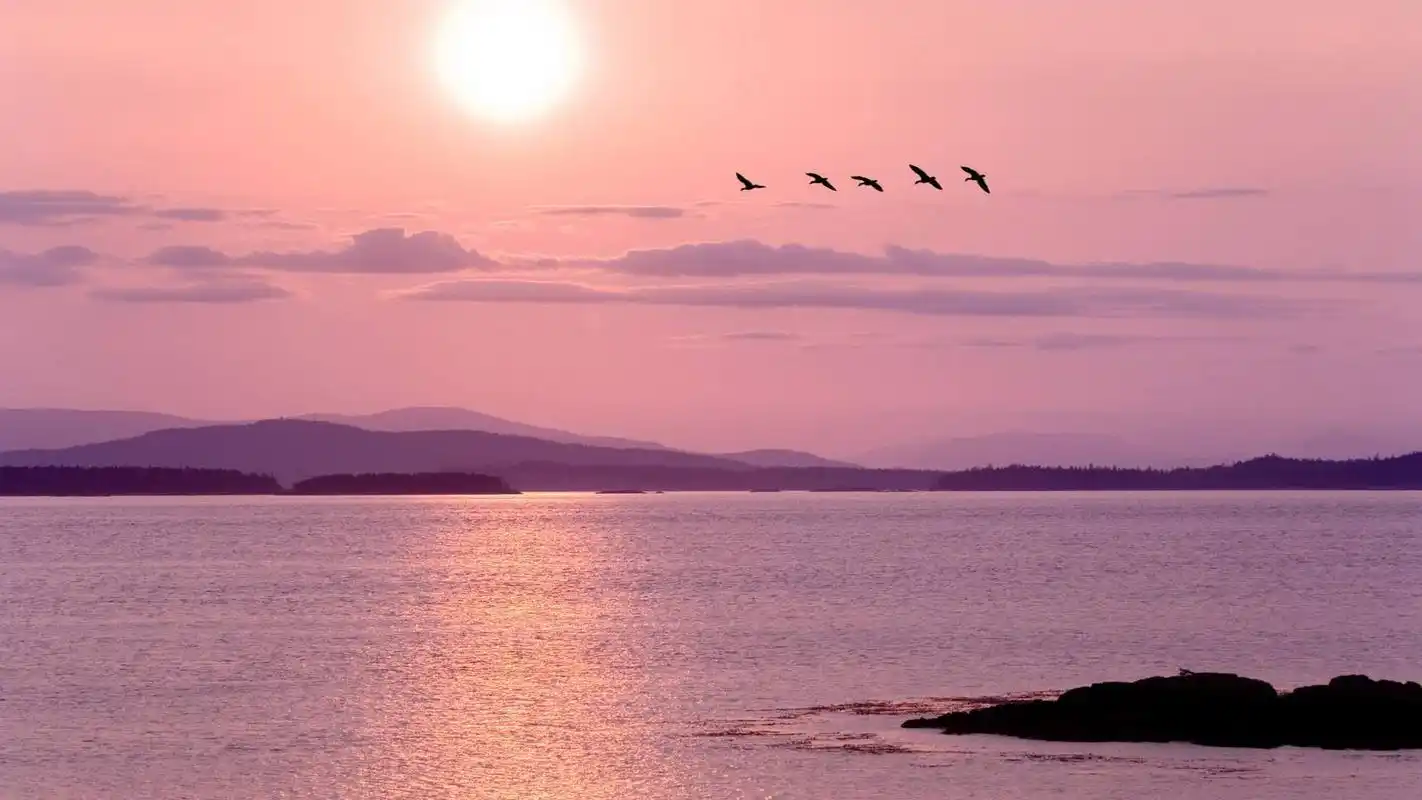 唯美夜色风景电脑桌面壁纸