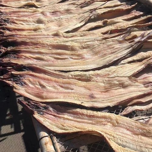 温州特产鳗鱼干去头去尾鳗鱼段淡的鳗鱼鱼干干货鱼干海鲜干货批发