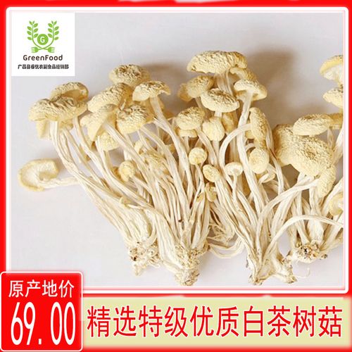 广昌茶树菇白茶树菇金顶菇茶薪菇干货500g包邮江西特产香菇不开伞