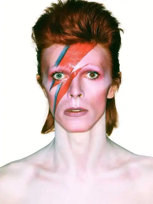 05时尚icondavidbowie时尚造型大赏266