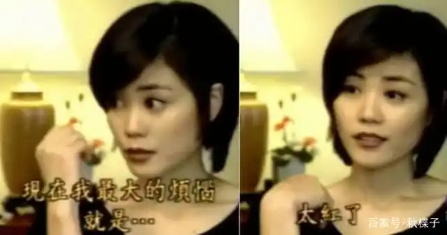 王菲说: "我太红了.