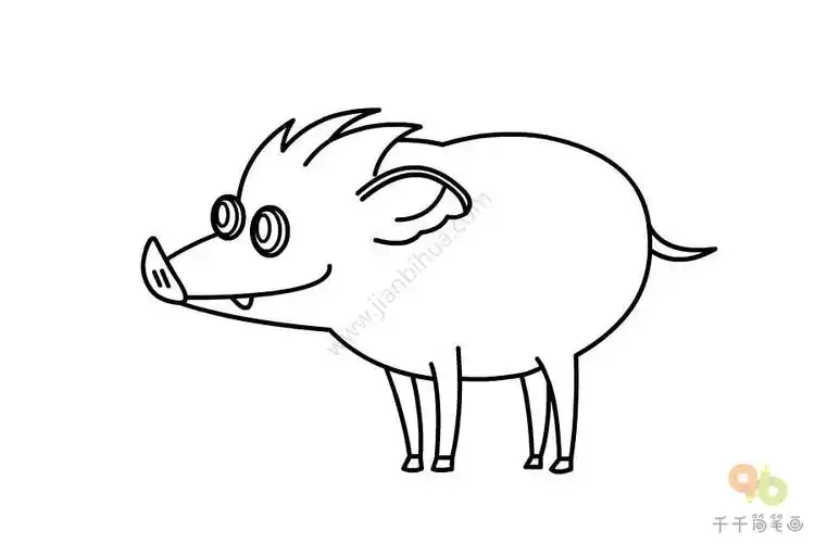 野猪简笔画图解