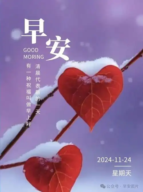 冬天早上好,最新秀美的早上好祝福问候语句子带图片大全,阴霾中找寻