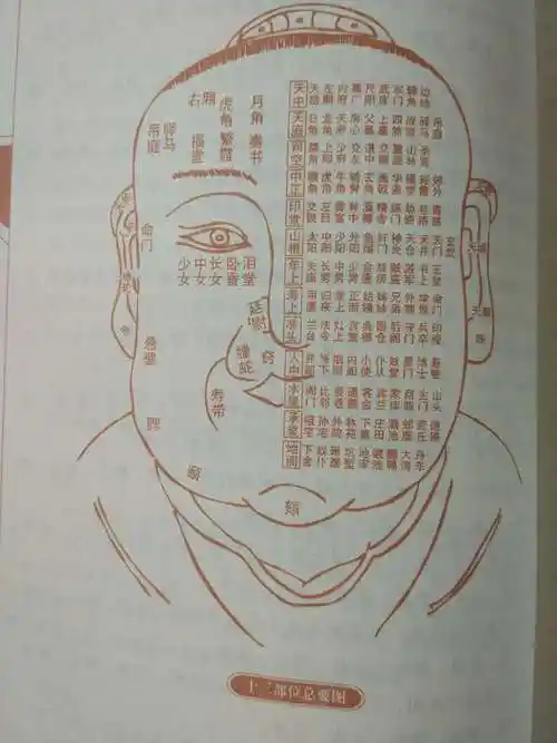 图解麻衣神相书籍麻衣道者金志手面相书籍正版包邮