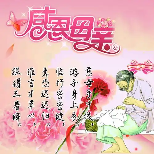 五月温馨 感恩母亲田志远店母亲节康乃馨免费送