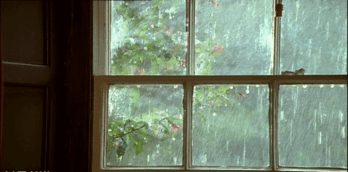 500_247gif 动态图 动图