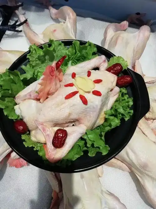 湘佳土鸡 散养在茶地山林深处,食野草,啄百虫,饮山泉,满山跑.