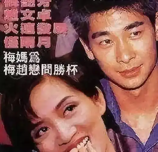 "瞒"了观众42年,她的故事小说都不敢这么写|梅艳芳|刘德华|赵文卓