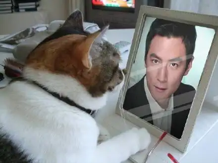 举着镜子吴彦祖表情包 高清无水印版