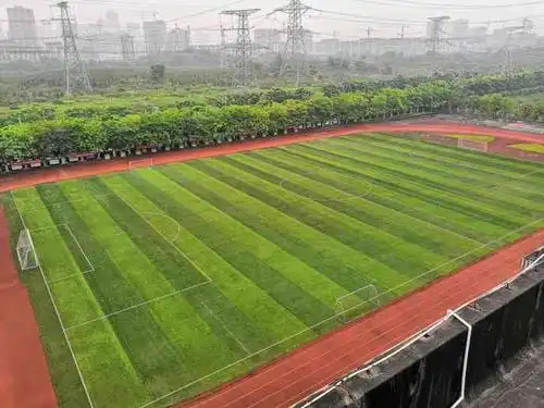 重庆大学城第三中学校