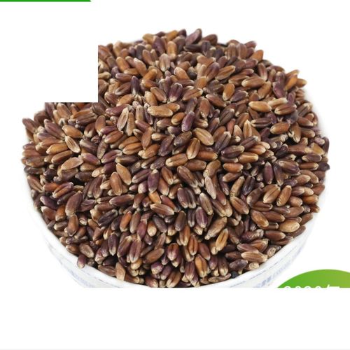 虎钢馋黑小麦去皮新米500g黑麦米黑麦仁黑小米五谷杂粮粗粮零售