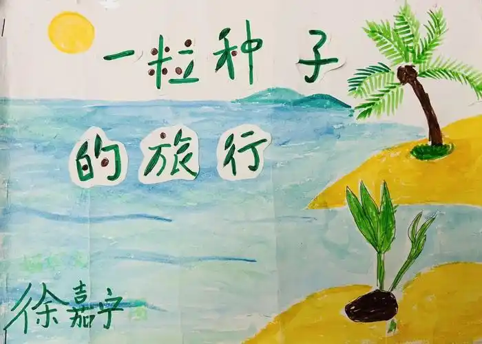 一粒种子的旅行