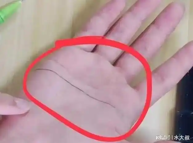 俗语:"男人断掌千金万两,女人断掌过房去养",断掌是好是坏?