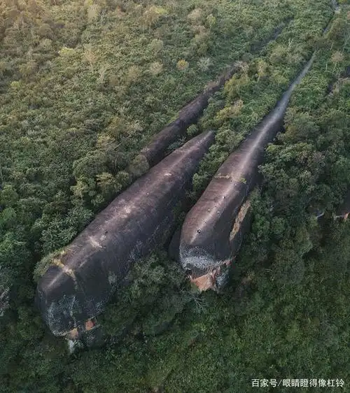 看完这组不可思议的图,你的视野又扩大了几分