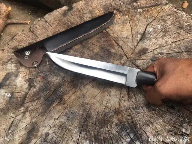 「鉴赏」手工轴承钢黑武士猎刀