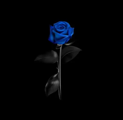 ai-作品《蓝色妖姬》