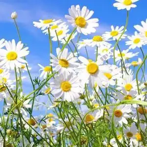 5w 抖音号:  2248210604 前世若无相欠,今生怎会相见,无论你遇见谁,他