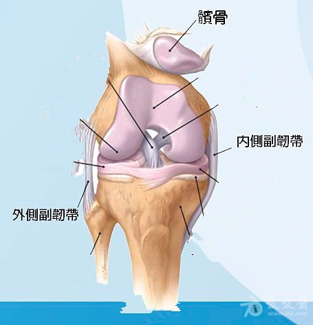交流一下膝关节内侧副韧带损伤的诊治