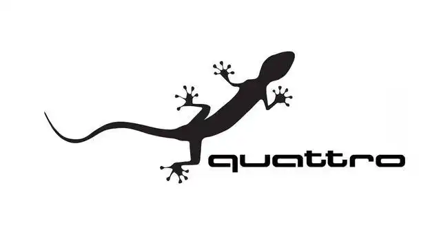 壁虎的奇迹:奥迪quattro四驱系统的往昔风云(上)