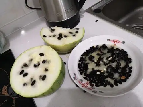 涨知识了,怪不得卖瓜的一个劲儿说这是"打瓜",原来是摔打开吃瓜子的瓜