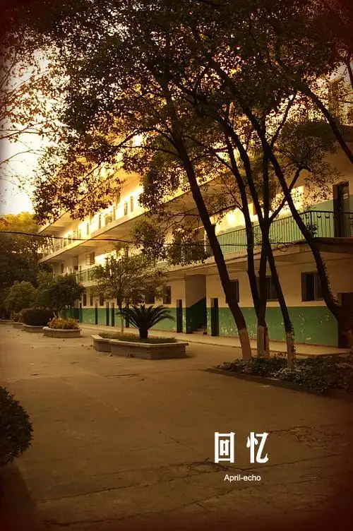 《回忆》——重回我的大学