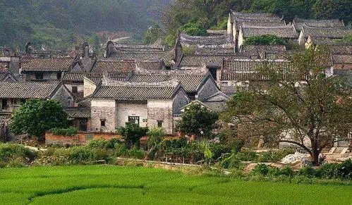 反映七十年代以前农村古建筑,古村落,古树,生产,生活