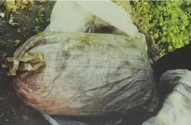 毛骨悚然96年南大119碎尸案详解