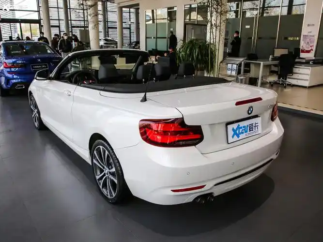 【2019款宝马2系敞篷225i 运动设计套装_整体外观_11/209张图片】