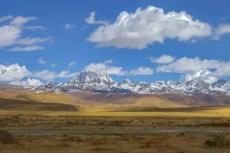 秋冬的塔公草原