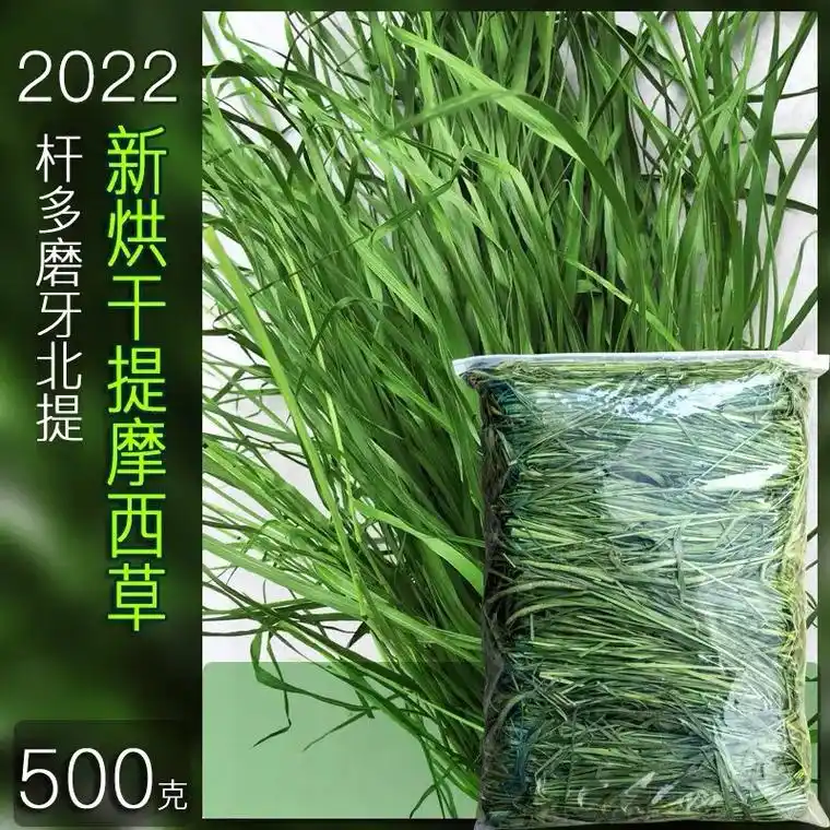 上热门 #提摩西草 赶快来《提摩小院》宠物的最爱 - 抖音