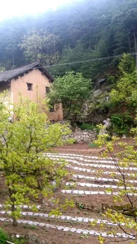 柞水初夏农村组照