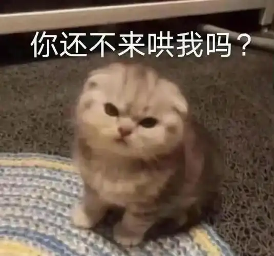 男朋友撒娇表情包 - 挖吧