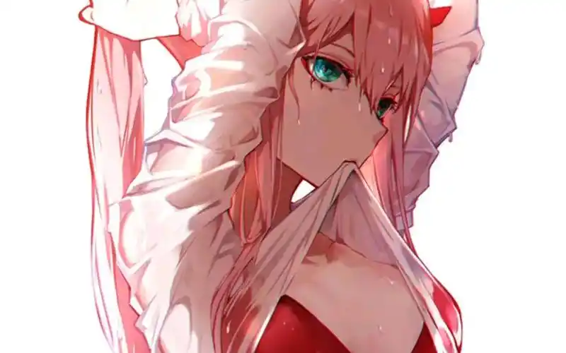 你们老婆我收下了!02【darling in the franxx/02/国家队】