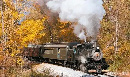 澳洲蒸汽火车重出江湖,汽笛声在昆士兰小镇再次鸣响