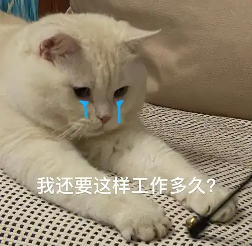 生活不易猪猪叹气叹气泄气还得打气