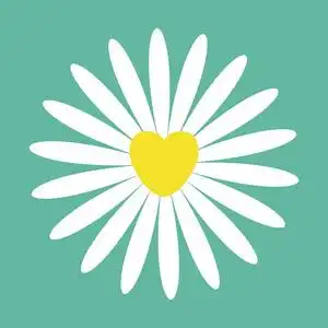 雏菊的心白色雏菊洋甘菊图标. 可爱的花卉植物收藏. 黄色心脏中心.